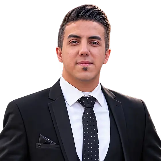 Portrait of Alireza Babaei